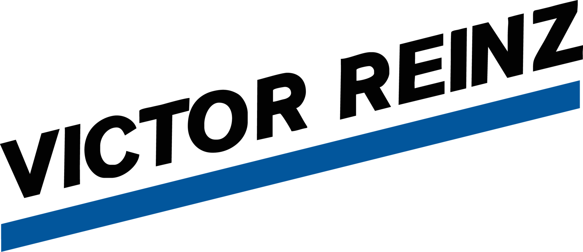 victor-reinz-seeklogo